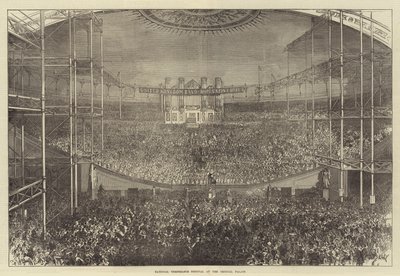 National Temperance Festival at the Crystal Palace by Sir John Charles Robinson